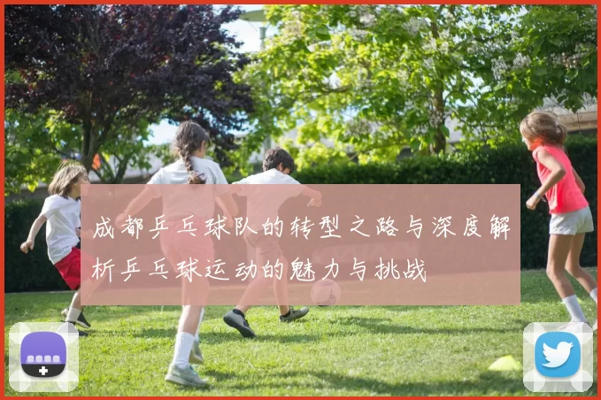 成都乒乓球队的转型之路与深度解析乒乓球运动的魅力与挑战
