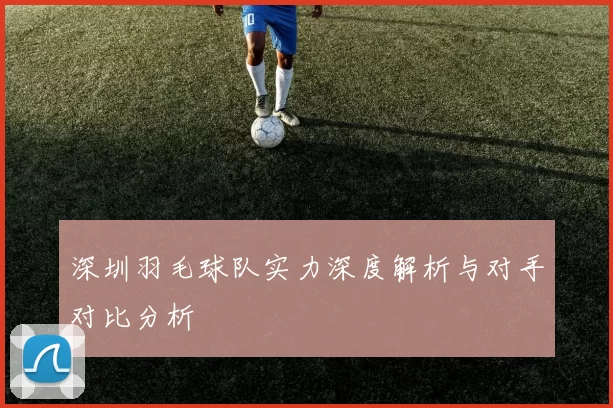 深圳羽毛球队实力深度解析与对手对比分析